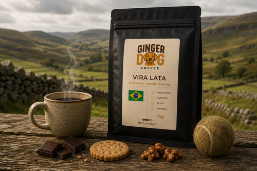 A bag of Ginger Dog Coffee "Vira Lata" medium roast coffee stands on a rustic wooden surface in a countryside setting. Beside the coffee bag is a steaming mug of coffee, with pieces of chocolate, a biscuit, and walnut halves arranged in the foreground to reflect the coffee’s chocolate, biscuit and praline flavour notes. A worn tennis ball sits to the side, while rolling green hills and stone walls stretch across the background under a cloudy sky, creating an outdoor dog-walking atmosphere.